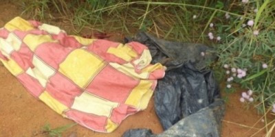 Jaru: Homem é encontrado morto nesta manha na linha 625