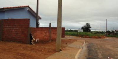 Rolim De Moura – Cachorro amarrado em corrente  pula o muro e morre enforcado.