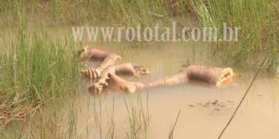 PORTO VELHO - MULHER É ENCONTRADA ESQUARTEJADA EM PORTO VELHO - IMAGENS FORTES