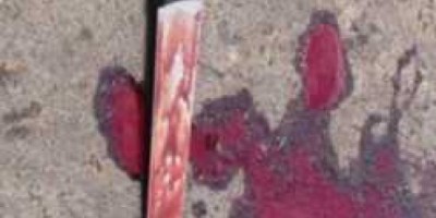 Alta Floresta – Homem é assassinado em um bar no centro da cidade