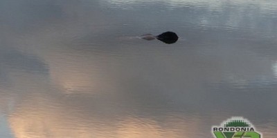 Monte Negro - Populares encontram cadáver boiando em lagoa na zona rural de Monte Negro