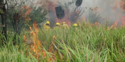 Santa Luzia: Ministério Público inicia campanha contra as queimadas urbanas