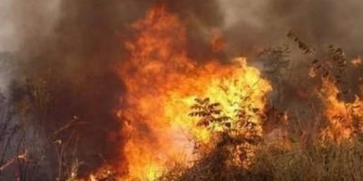 Alto Alegre – Após negar emprestar motocicleta sitiante tem a pastagem incendiada
