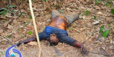 Ji-Paraná – Cadáver é encontrado em mata em avançado estado de putrefação - Imagens Fortes