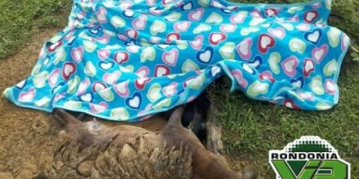 Buritis – Dona de casa morre atingida por raio