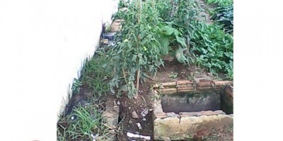 Ji-Paraná – Verduras cultivadas em meio as fossas abertas do Regime Semi-Aberto são vendidas em Feiras Livres