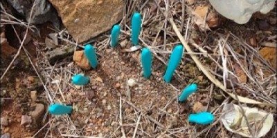 Jaru - Facas encravadas numa sepultura chamam atenção no cemitério