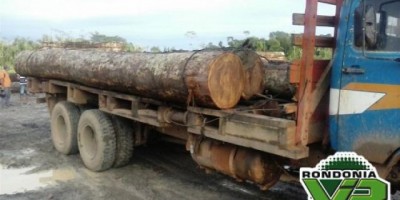 Machadinho D' Oeste - Homem é esmagado por tora de madeira