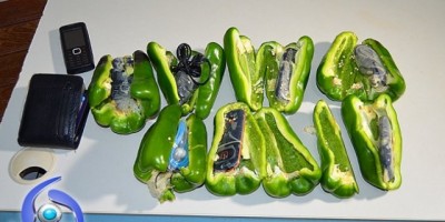 Ji-Paraná – Agentes Penitenciários descobrem pimentões recheados de celulares que iriam entrar no Presídio