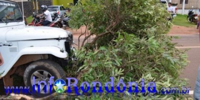 Rolim de Moura - Veiculo colide com outro veiculo e arranca árvore do canteiro