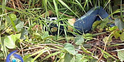 Ji-Paraná – Homem mata ex-namorada por causa da guarda do filho de 2 anos de idade