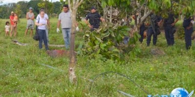Quatro pessoas morrem eletrocutadas em acidente com cabo de alta tensão