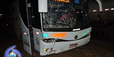 Ji-Paraná – Animal na pista causa acidente envolvendo ônibus da Eucatur e veículo de passeio