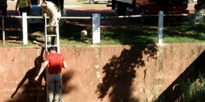 Rolim de Moura –  Bombeiros resgatam cachorro de dentro de galeria de córrego