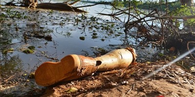 Presidente Médici - Pescadores encontram perna humana serrada ao meio boiando no Rio Machado