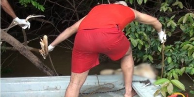 Tronco de corpo humano é encontrado no Rio Machado próximo a ponte que liga Rolim de Moura