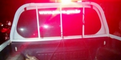 Jaci-Paraná - Policia Militar captura jacaré em área urbana