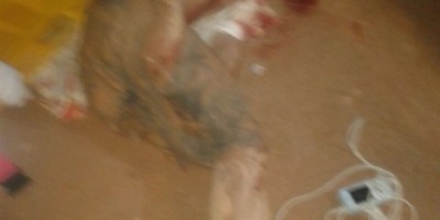 Porto Velho - Durante bebedeira, vítima tem cabeça esfacelada à pedradas