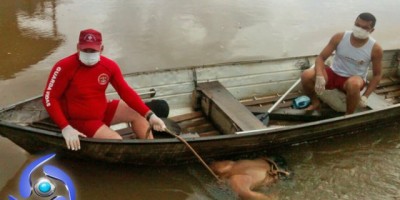 Cacoal – Cadáver é encontrado boiando nas águas do Rio Machado