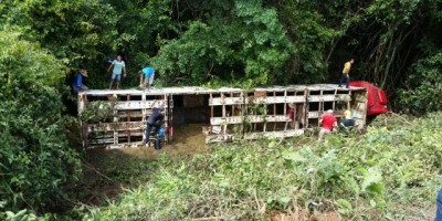Rolim de Moura – Carreta boiadeira carregada de semoventes (bovinos) tomba próximo ao rio Bambu após sair da pista, por sorte o condutor saiu ileso