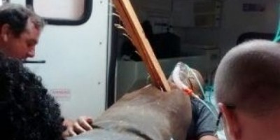 Porto Velho - Homem da entrada no JP II com madeira cravada na garganta após acidente