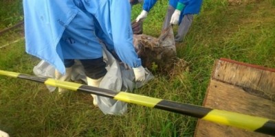 Porto Velho - Macabro! Corpo de homem amordaçado é encontrado em cova rasa no quintal de residência