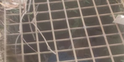 Porto Velho - Equipe de limpeza encontra cadáver em bueiro