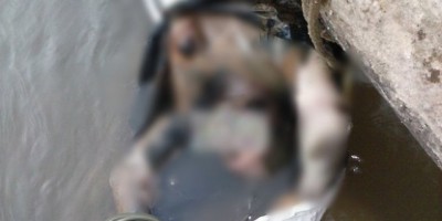 Nova Brasilândia – corpo é encontrado em estado de decomposição