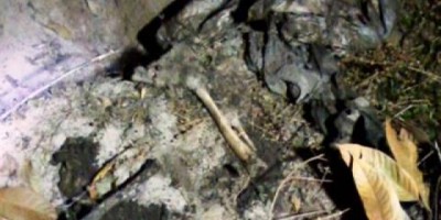 Vilhena -com fome, cachorros comem corpo de homem assassinado e enterrado em cova rasa