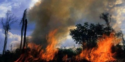 Comitê antecipa estudo dos municípios com maior número de focos de queimadas em Rondônia