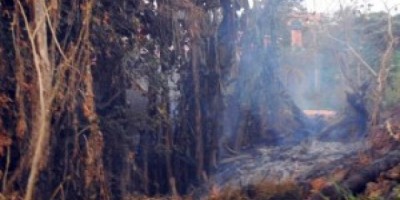 Nova Brasilândia - Jovem é flagranteado por provocar incêndio