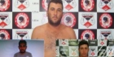 Presidente Médici -  Polícia Civil desarticula quadrilha que furtava gados na Região Central do Estado