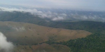 Buscas por jaruense desaparecido em uma mata fechada na região do Pacaás Novos há 44 dias, continuam