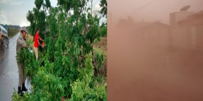 Rolim de Moura - Vendaval deixa cidade coberta de poeira, prejuízos e quedas de árvores