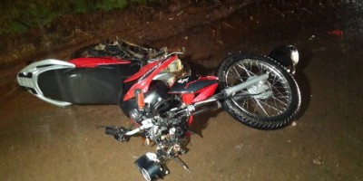 Rolim de Moura -  Animal solto na rodovia provoca acidente 