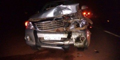 São Francisco do Guaporé - Animal solto na pista causa mais um acidente com danos na BR 429