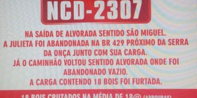 UTILIDADE PÚBLICA - Carga de boi furtada