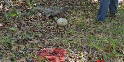 Ossada humana é encontrada na zona rural de Ji-Paraná   