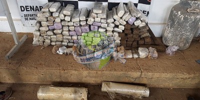 DENARC apreende mais de 200 quilos de maconha que estavam enterrados em sítio em Porto Velho