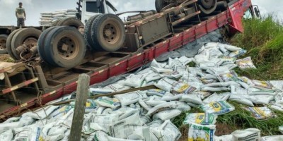 Monte Negro - Motorista capota caminhão após desviar de cachorro na BR-421