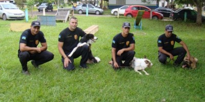 Cães reforçam trabalho da Polícia Militar de Cacoal