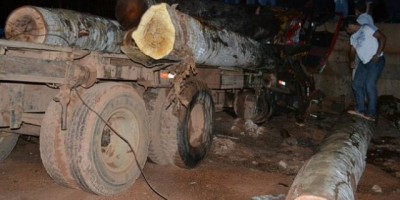 São Francisco do Guaporé - Caminhão toreiro bate violentamente contra ponte, motorista morre preso nas ferragens