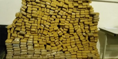 Policiais do DENARC apreendem quase 500 kg de maconha em Porto Velho