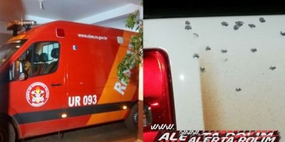 Rolim de Moura – Suspeito que estava foragido, envolvido na tentativa de homicídio contra o filho do Ex-Prefeito “Batistão” se entrega a polícia