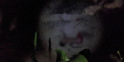 Criança de 12 anos que estava desaparecida é encontrada morta próximo a córrego em Ariquemes