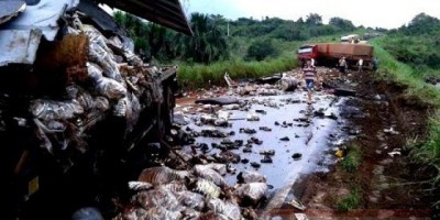 Acidente envolvendo três carretas faz vítima fatal na BR-364 entre Pimenta Bueno e Vilhena