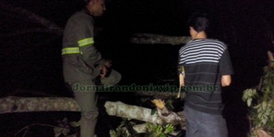 Eletrecista e ajudante são eletrocutados durante reparo de cabo de alta tensão; um morreu na hora