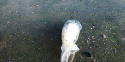 Jaru - Mulher é presa ao tentar entrar na Casa de Detenção com drogas escondidas nas partes íntimas