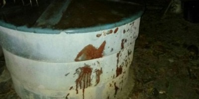 São Francisco do Guaporé - Jovem morre após ser alvejado por arma de fogo em residência