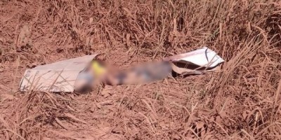 Porto Velho - Homens são degolados e amarrados próximo ao porto da capital